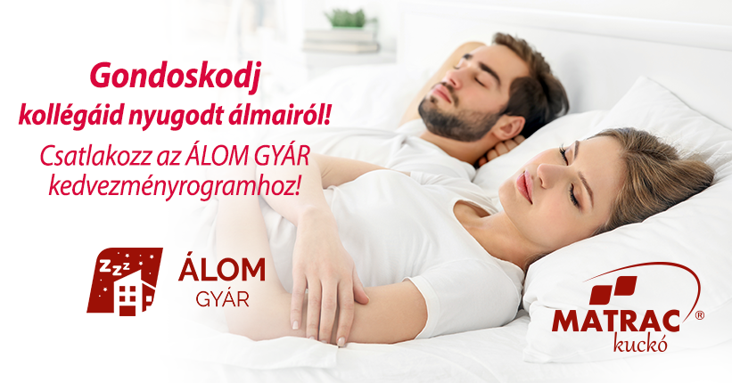 Álom Gyár Program